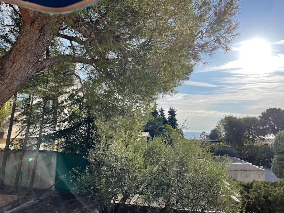 Cassis, Superbe Appartement Avec Terrasse Kültér fotó